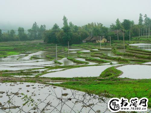描写的田野的句子 描写田野的优美句子