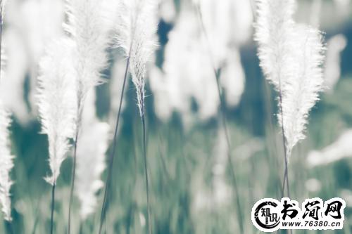 描写五月的句子 关于五月的唯美句子