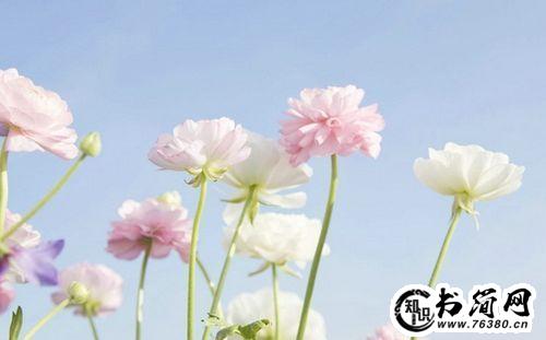 描写星空的句子 星空意境的唯美句子