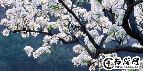 描写雪花的句子 描写雪花的优美诗句