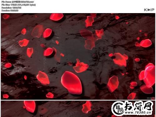 描写花瓣的句子 描写花瓣飘落的句子