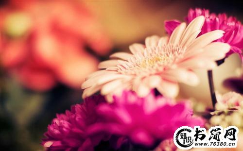 失恋了很潇洒的句子 失恋后潇洒走出的句子