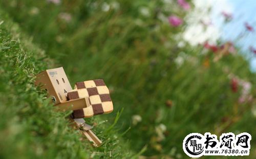 感恩使我成长的句子 感恩对我好的人的句子