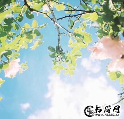 正能量努力做的句子 拼搏努力正能量的句子