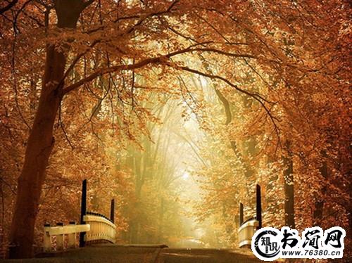 描写冬天街道的句子 描写冬天环境的句子