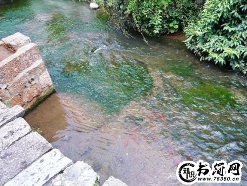 关于宽容的优美句子 关于宽容的优美段落