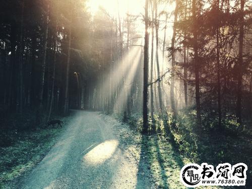 关于宁静的优美句子 宁静致远的句子