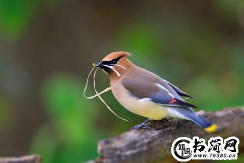 关于童趣的优美句子 童真童趣的经典句子