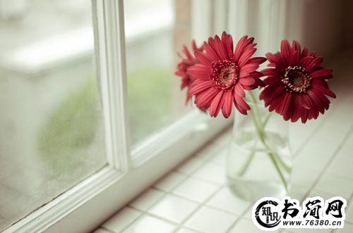 表白单纯清新的句子 超清新表白句子