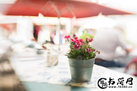 最强势的表白句子 强势表白的句子