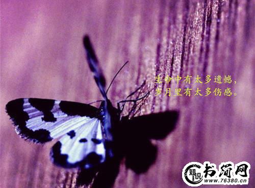 给女生的表白句子 表白的句子给暗恋的人