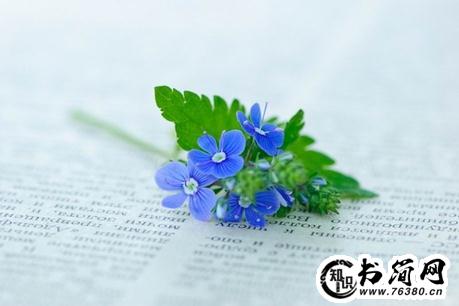 失恋很惨的句子 失恋的句子