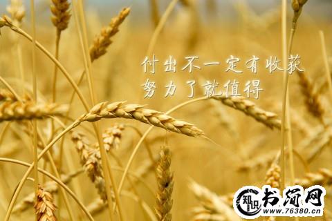 描写深秋心情的句子 表达深秋寄情的句子