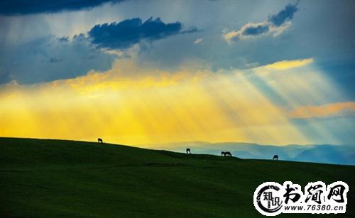 蒲公英的唯美句子 关于蒲公英的唯美句子