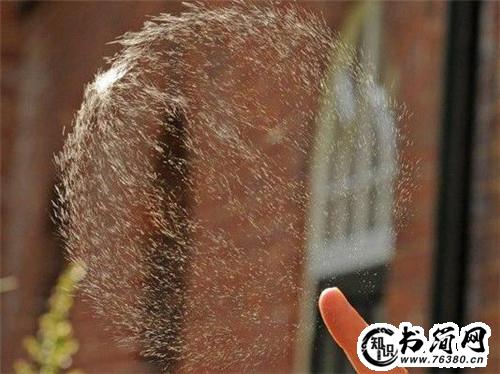 偶遇的唯美句子 相约不如偶遇的句子