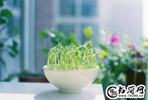 重头再来励志句子 重头再来的励志语句