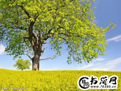 描写春天的好段落 关于春天的好段落