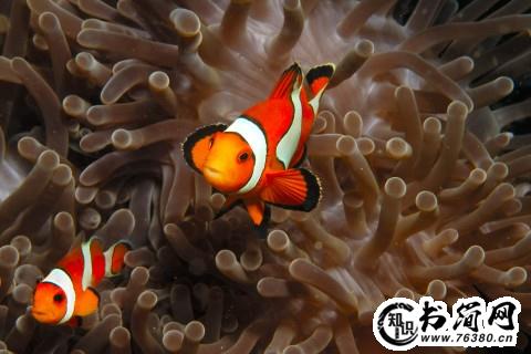 描写路的唯美句子 描写公路的优美句子