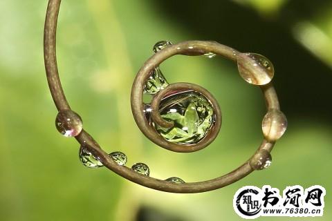 形容心情很落寞的句子 描写心情落寞的句子