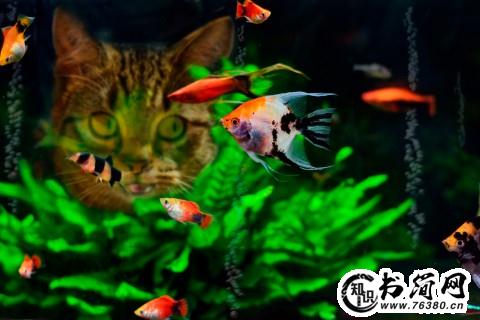 感叹时光无奈的句子 感叹人生无奈的句子