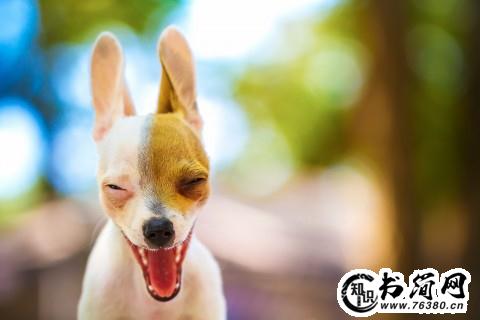 关于威信的句子 形容树立威信的句子