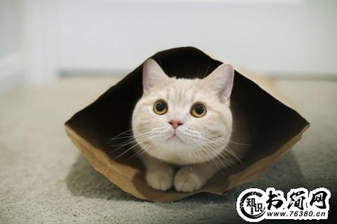 关于未来的句子 对未来美好憧憬的句子