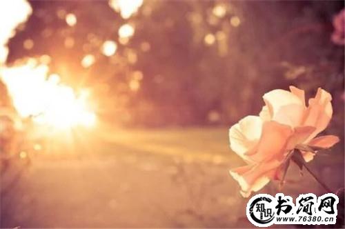 关于理解的句子 渴望被理解的句子