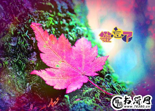 赞美茉莉的句子 描写茉莉香气的句子