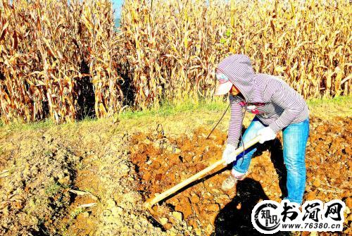 爱劳动的句子 有关爱劳动的句子