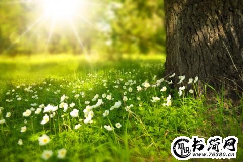 形容微笑的句子 形容女生微笑的句子