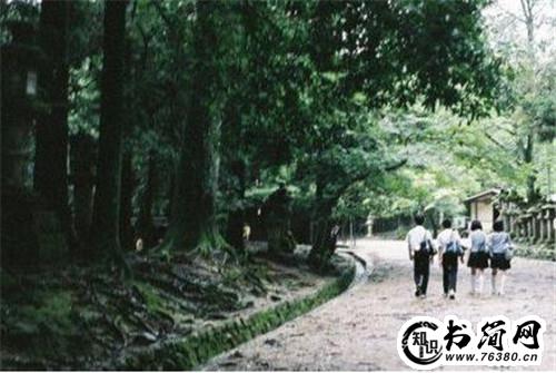 慢慢变老的句子 慢慢变老的经典语录