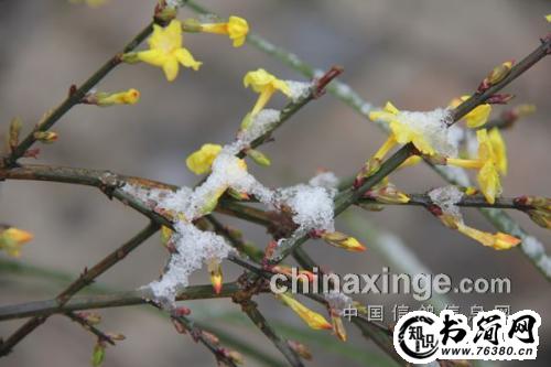 描写春寒的句子 形容春寒的句子