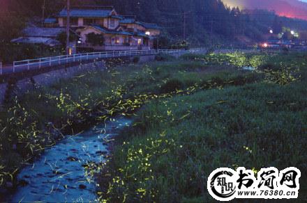 关于遇见的句子 关于遇见的唯美短句