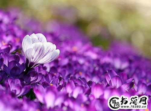 形容漫步的句子 雨中漫步的唯美句子