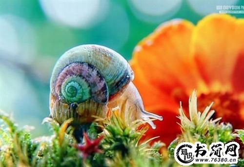 形容演出句子 祝贺演出成功的句子