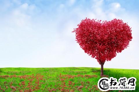 民生的句子 关注民生疾苦的句子