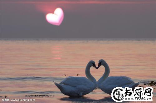 爱情难过的句子 为爱情伤心难过的句子