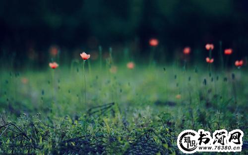 描写钟声的句子 描写钟声的唯美句子