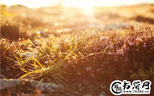 写阳光的唯美句子 一缕阳光唯美的句子