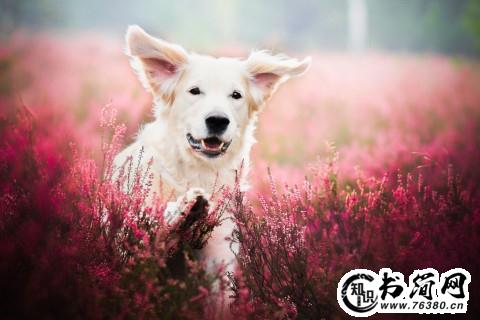 散场的句子 形容人总要散场的句子