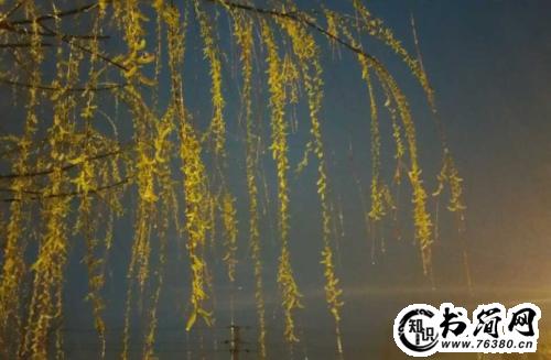 描写春夜的句子 描写春天夜晚的句子