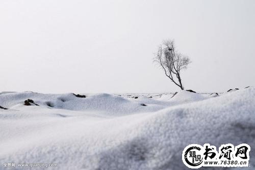 描写坚守的句子 关于坚持的句子简短