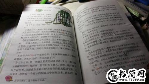 描写黄瓜的句子 描写黄瓜的优美l句话