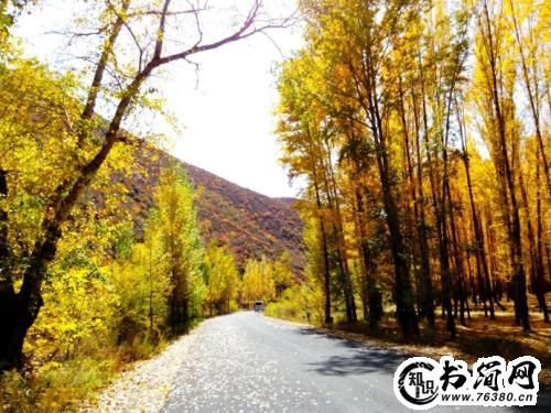 关于秋风的句子 描写秋风的句子