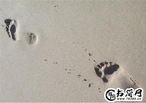 唯美有关幸福的句子 关于幸福的好句子