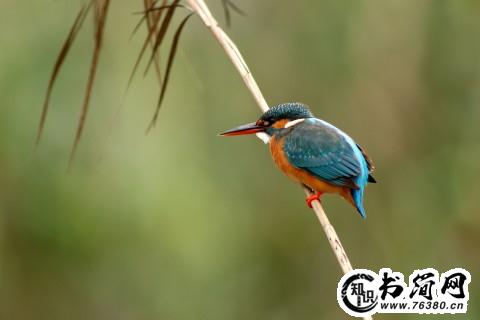 形容担当的句子 形容责任担当的句子