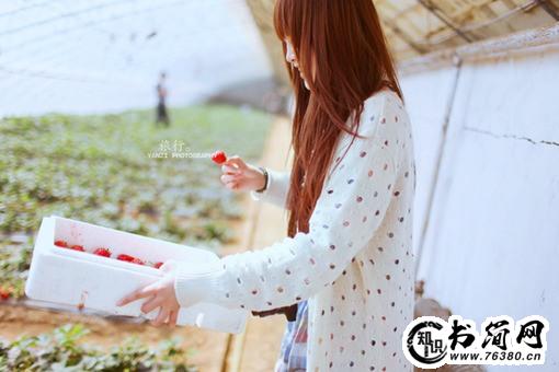 关于看淡了的句子 看淡人生的句子