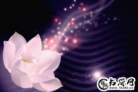 花凋零的句子 有关花凋零的句子