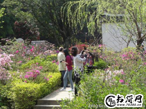 描写花展的句子 关于画展的句子