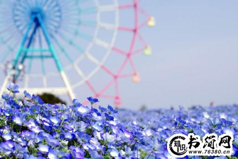 长命百岁句子 长命百岁句子搞笑